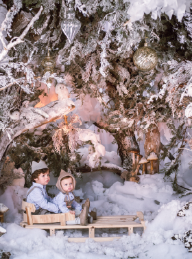 Into The Woods - Goga Photography Christmas Set - Fotografía Navideña